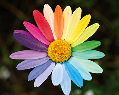 Fête de l'été FOSTAC 2026